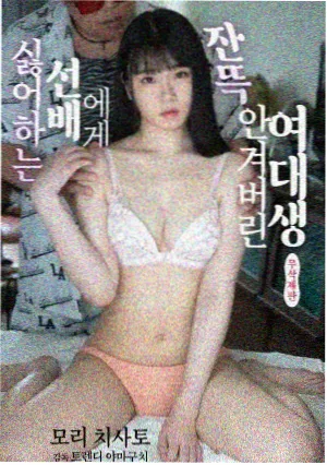 城西旧事剧集封面图